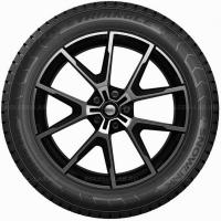 225/60 R17 103R Triangle SnowLink PL01